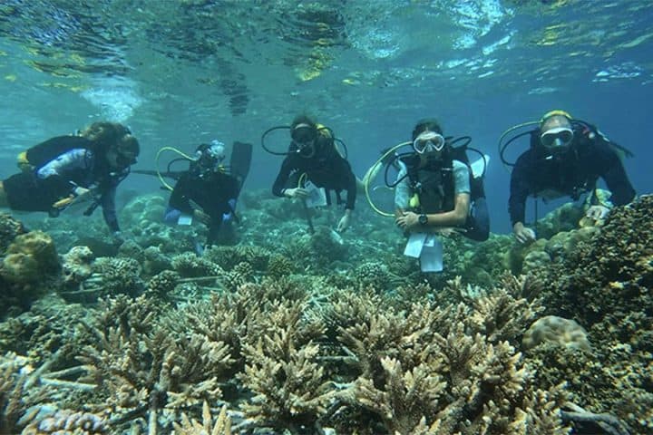 Hurawalhi Maldives Marine Biology Center