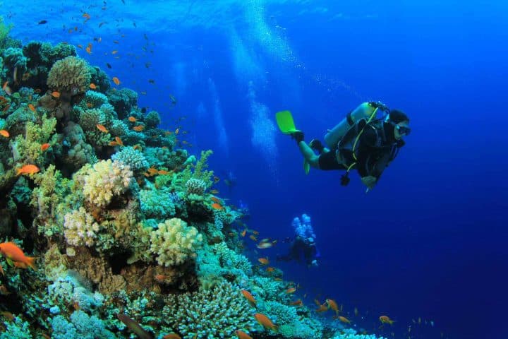 Diving Center