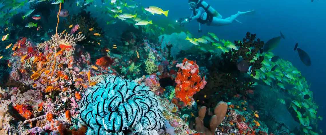 Diving Site