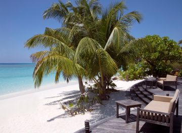 Conch Bar