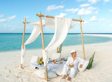 Picnic on the Sandbank