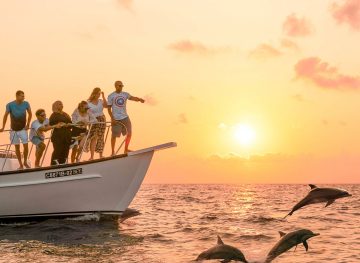 Maldives Sunset Dolphin Cruise
