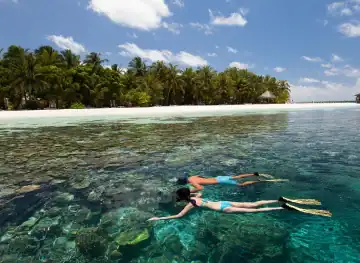 House Reef Diving