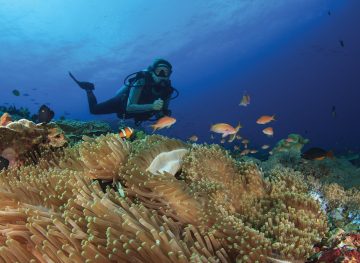 Diving