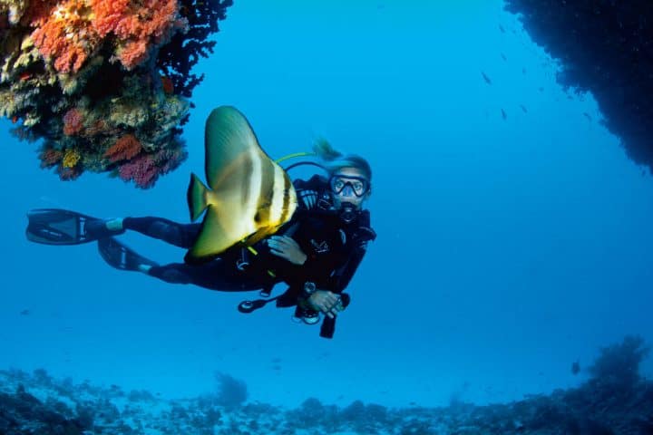 Diving