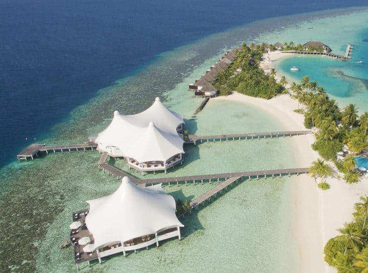 Safari Island