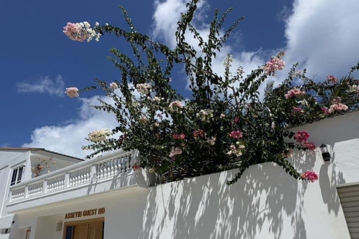 Asseyri Guest House