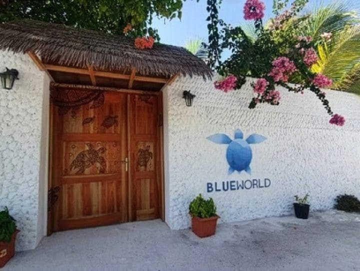 Blue World Dharavandhoo