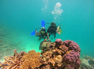 Scuba Diving