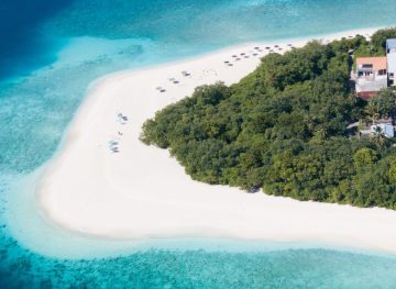 The Island