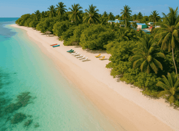 The Island