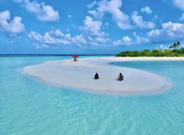 Island Picnic