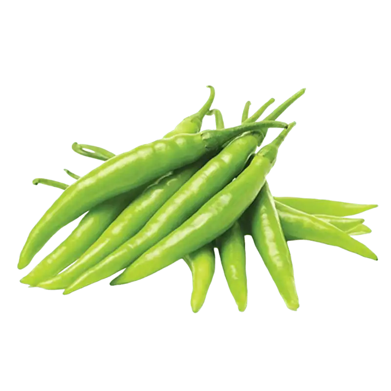 Frische grüne scharfe Chilies für asiatische Gerichte.