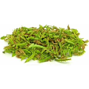 Frische junge Tamarindblätter, asiatische Lebensmittel, 100g Packung, Online-Shop.