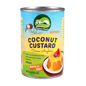 Asiatischer Lebensmittelladen, Kokos-Custard-Dose, vegan, glutenfrei, 400g.