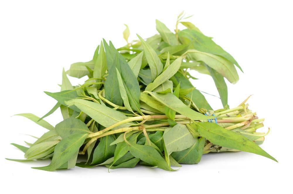 Frische Praew Blätter für asiatische Gerichte im Online-Shop.