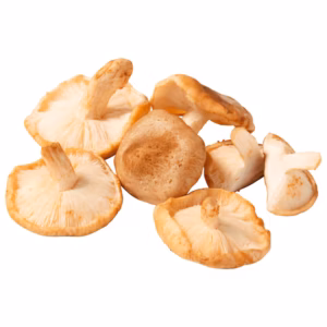 Frische Shitake Pilze 150g