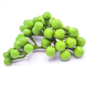 Frische asiatische Mini Thai Auberginen im Online-Shop.