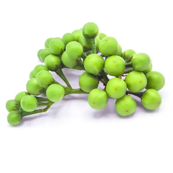 Frische asiatische Mini Thai Auberginen im Online-Shop.
