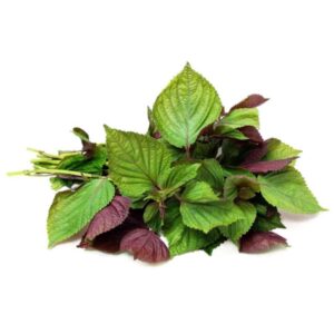 Asiatische Lebensmittel Online-Shop - Frische Perilla Blätter im Laden.