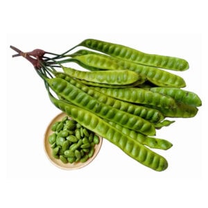 Asiatische Lebensmittel Online-Shop, frischer Sator mit Bohnen.
