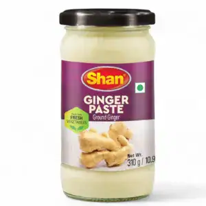 Asiatischer Lebensmittel Online-Shop, Shan Ingwerpaste 310g, frischer Ingwer.
