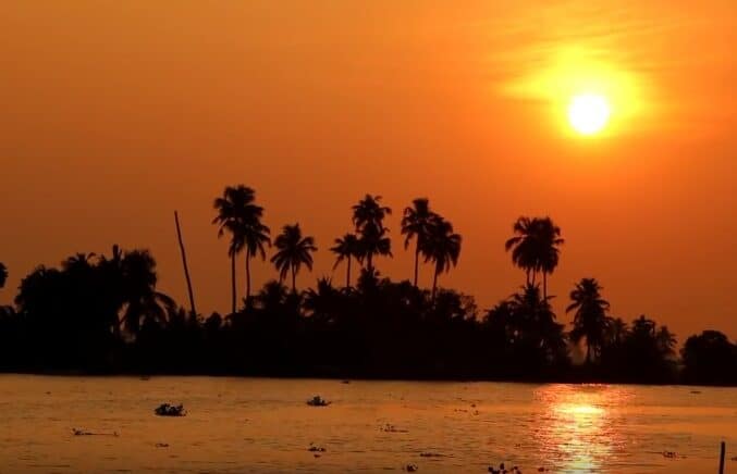 Un coucher de soleil orange vif sur une eau calme, le soleil bas dans le ciel. Les silhouettes de grands palmiers et le feuillage dense bordent le rivage, évoquant un paradis tropical loin du Québec. Le reflet du soleil dessine un sillon doré à la surface de l'eau.