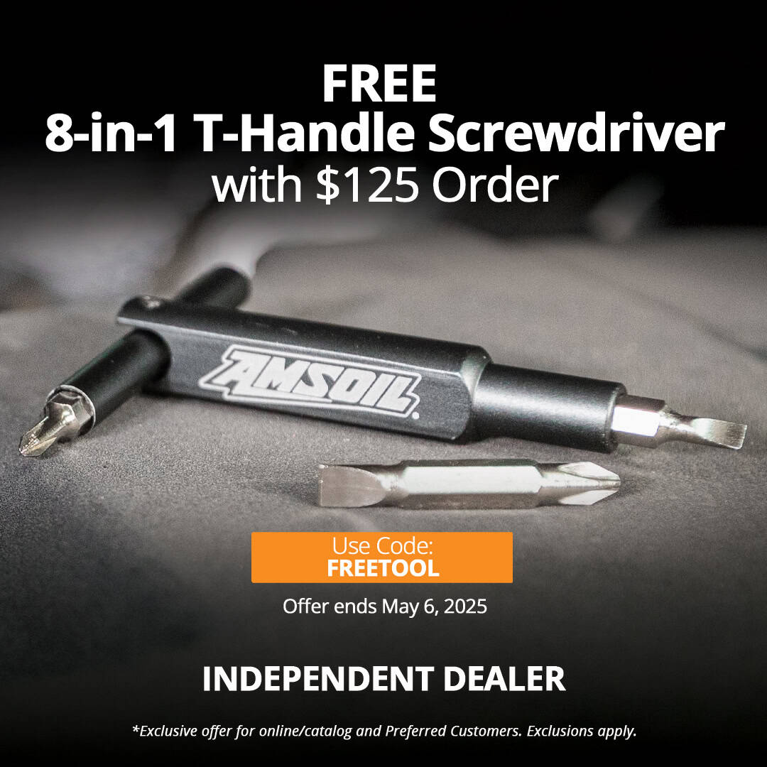 Free 8-in-1 T-handle screwdriver with $125 order