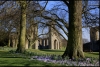 Glastonbury. -Tor - Abbey