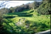 Looe-The-ruins-of-the-Lammana-Chapel.jpg