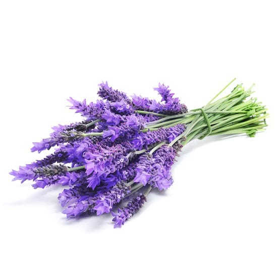 Naturra Aromatherapie 2in1 Duft Öl Wahl Mischung Sheabutter mit Duft