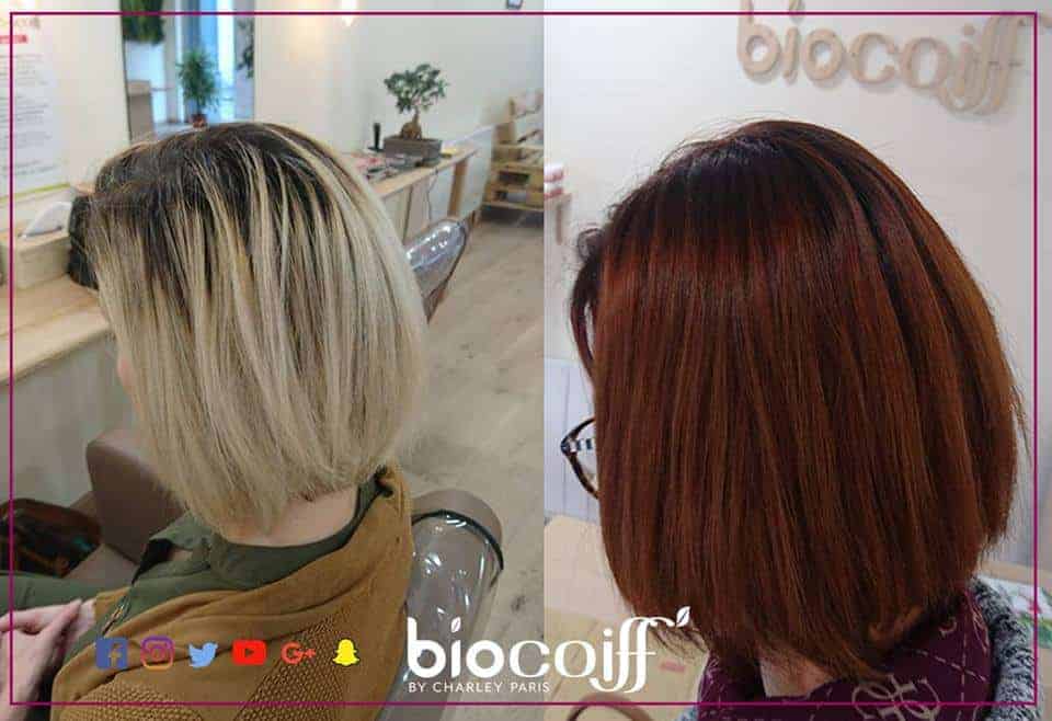 Coloration végétale Biocoiff'