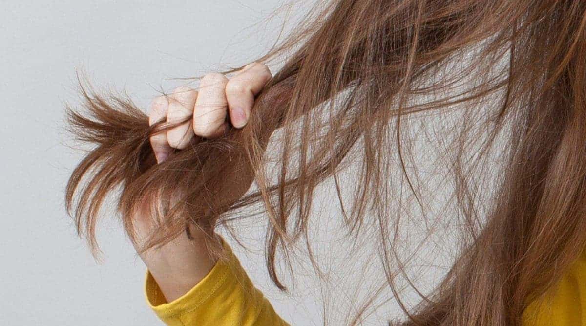 Chute cheveux