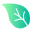 Feuille