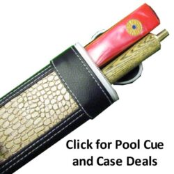 Pool cue and Case Deals