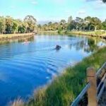 Scenic Melbourne river with boat and walking path.