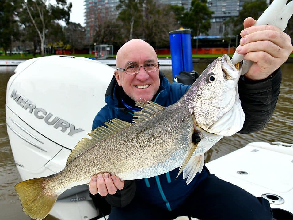 Man holding a large fish on a boat in Melbourne waterway.