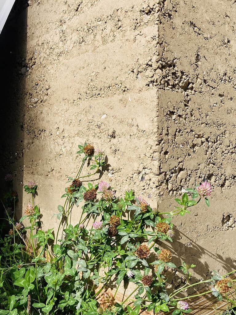 Udsigt over jord med blomstrende planter i forgrund.