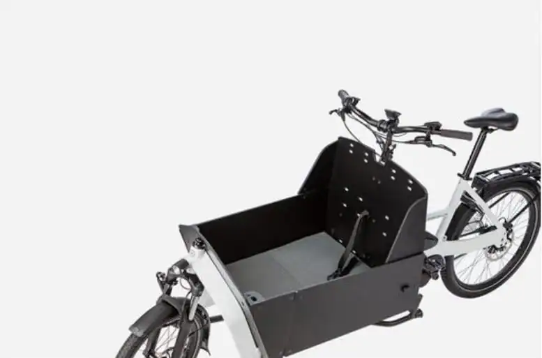 Riese & Müller - Transporter 65 vario + Hunde-Kit