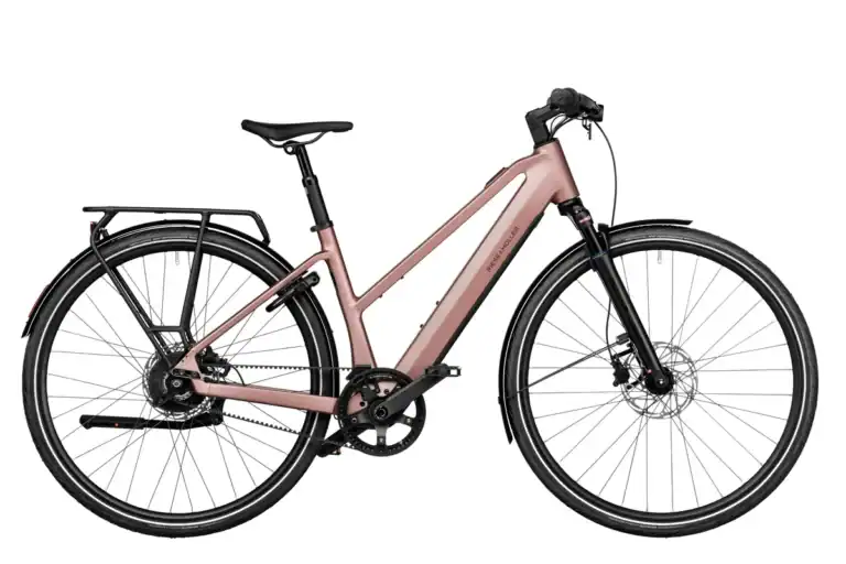 Riese & Müller UBN Seven vario