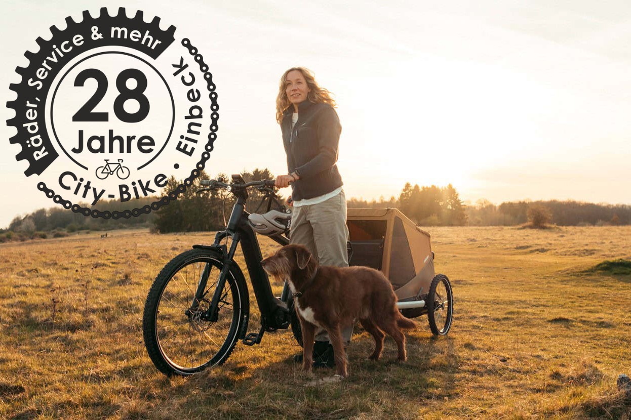 Frau mit Fahrrad und Hund im Sonnenuntergang auf dem Feld.
