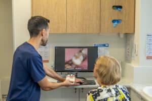 Brisbane Dental