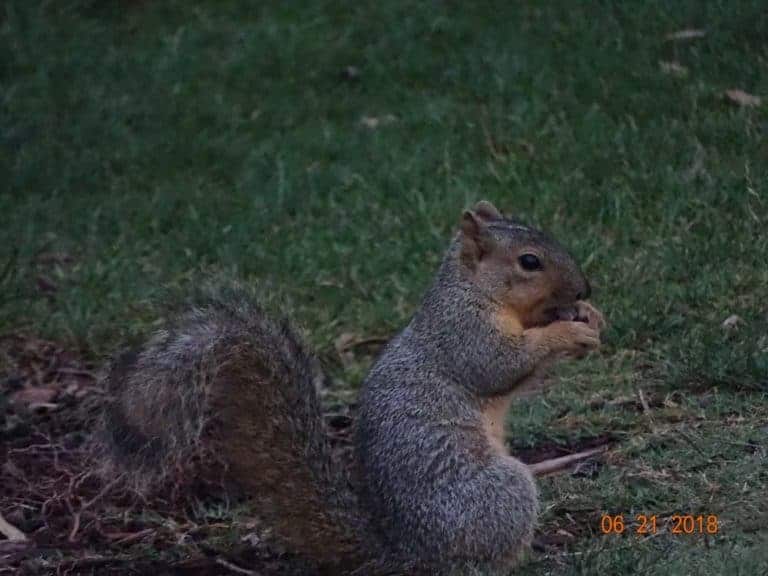 DSC01982