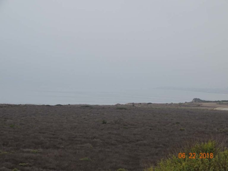 DSC02010