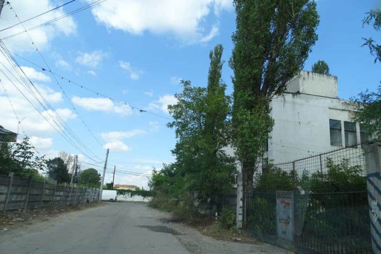 img_ (15)