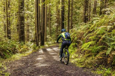 Mountainbiker fährt durch den Wald auf einem schmalen Weg bei Osnabrück.