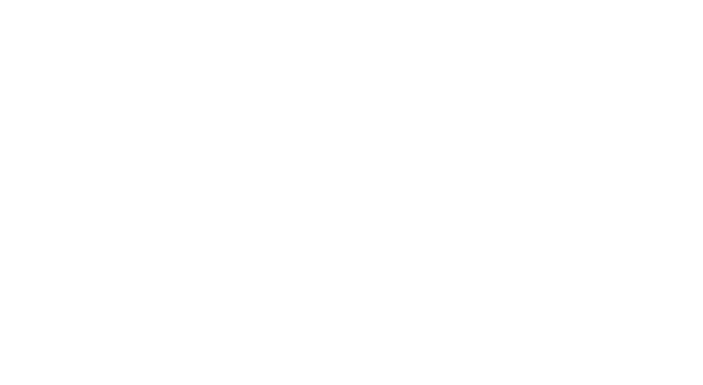 Website Logo Transparent White 4