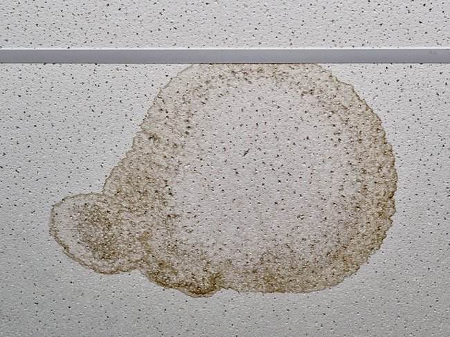 Water staining on ceiling Water staining on ceiling