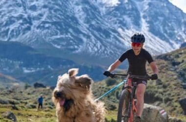 Fahrradfahrerin mit Hund in den Bergen bei schönem Wetter.