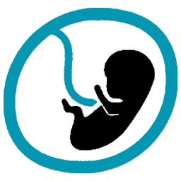 OB GYN medical billing services tab icon for maternity and women’s health reimbursement optimization